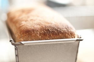 wholesome-bread-3-1357535-m