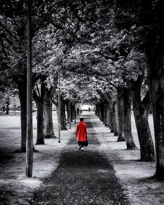 Photo by hotblack, 2014, MorgueFile.com