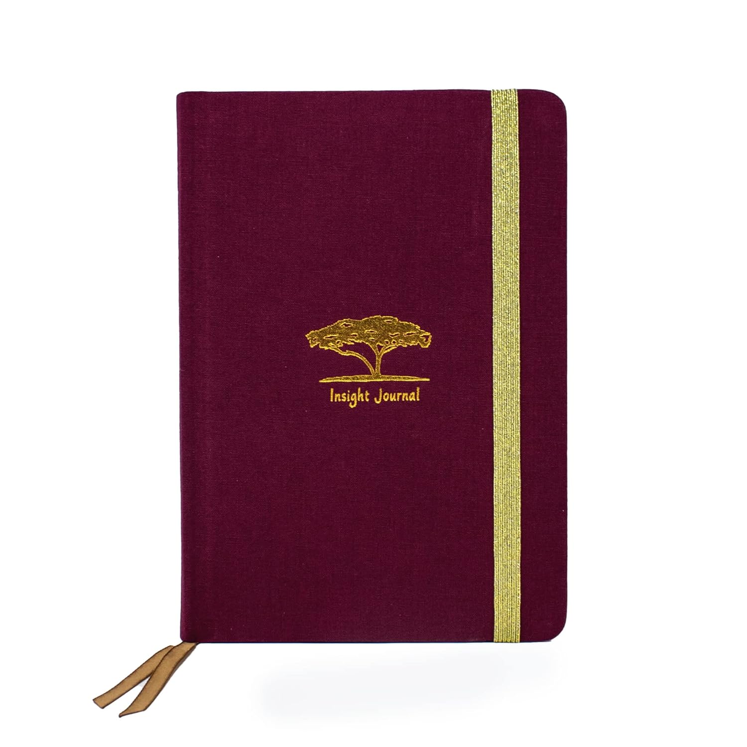 Insight Journal