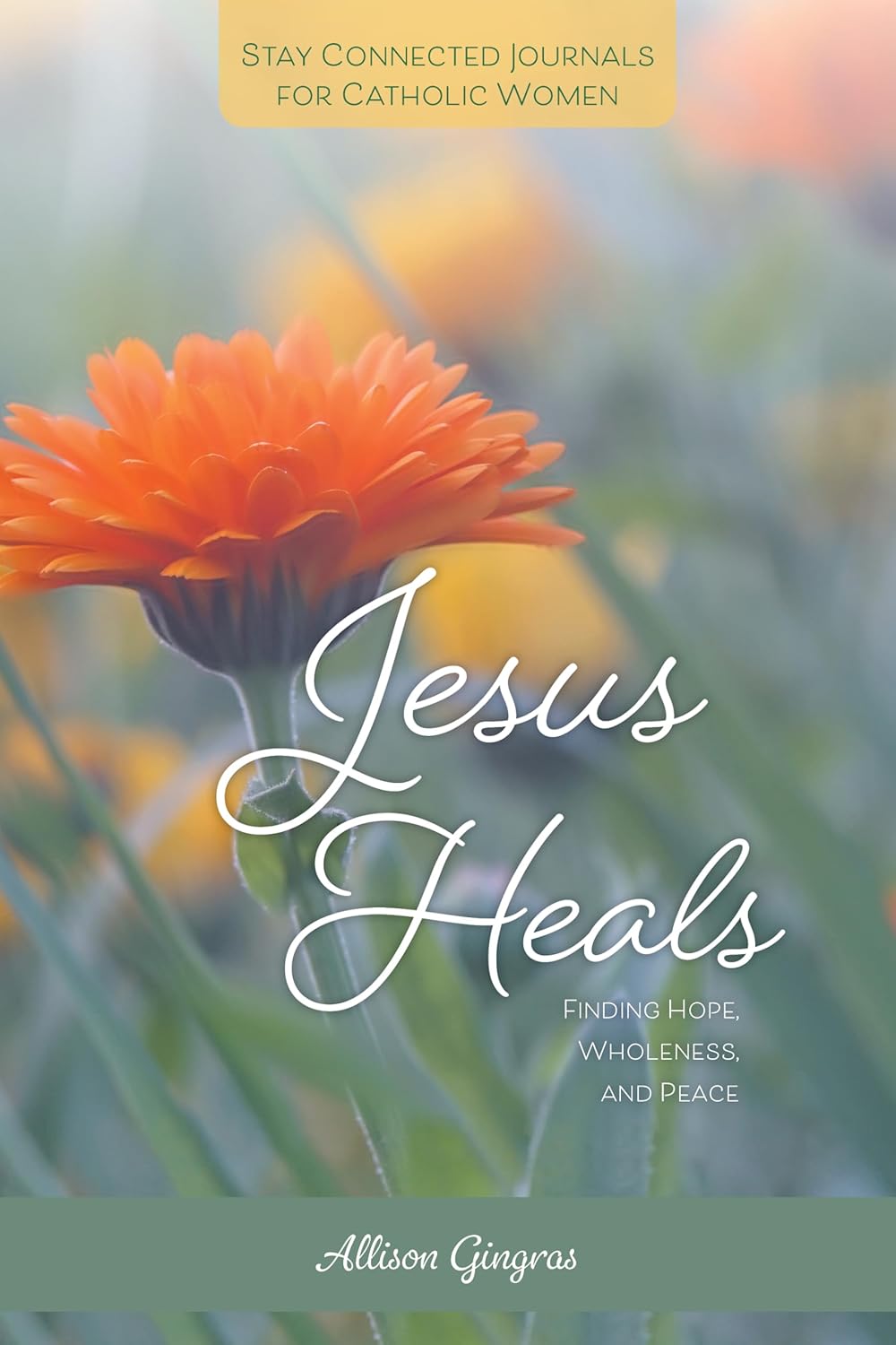 Jesus Heals-AGingras