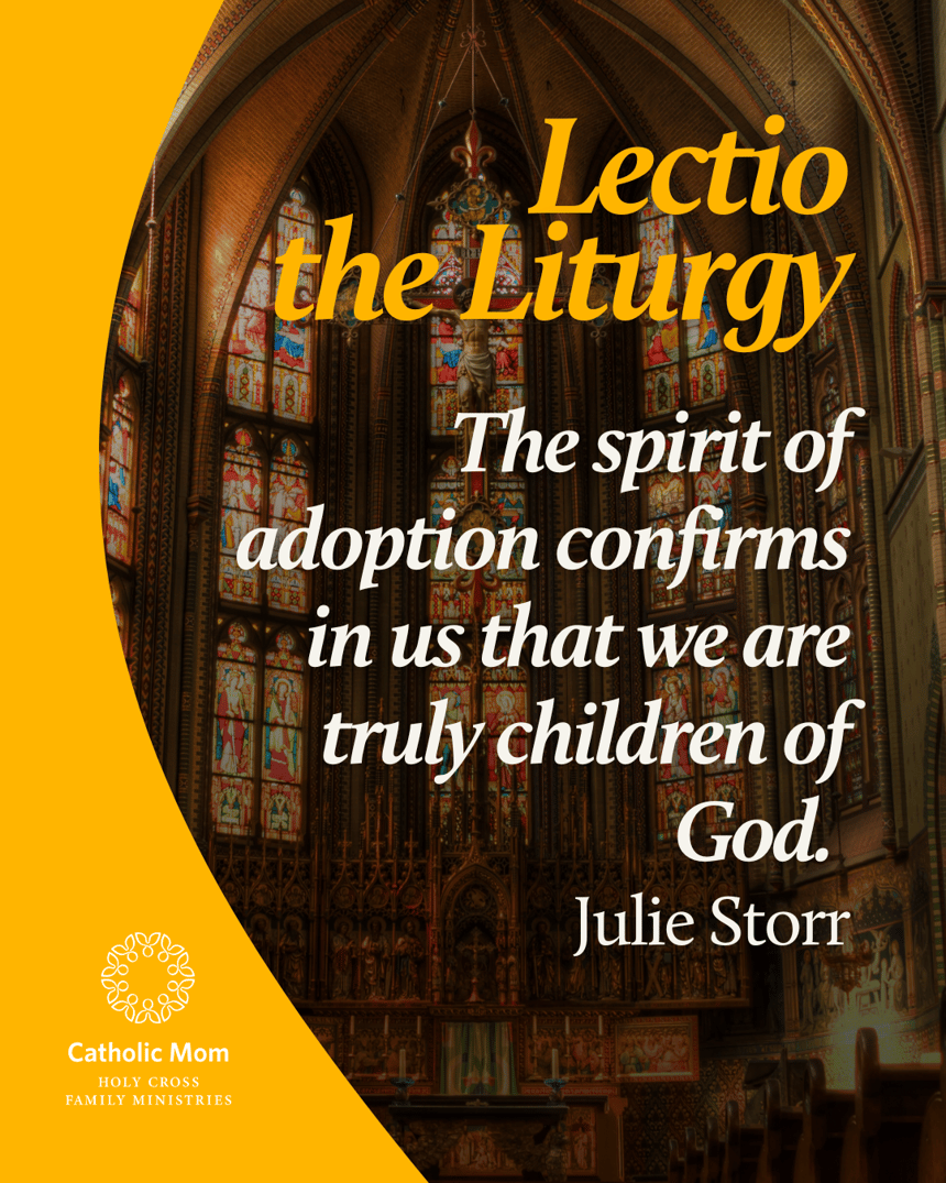 Lectio the Liturgy Sunday August 10, 2025