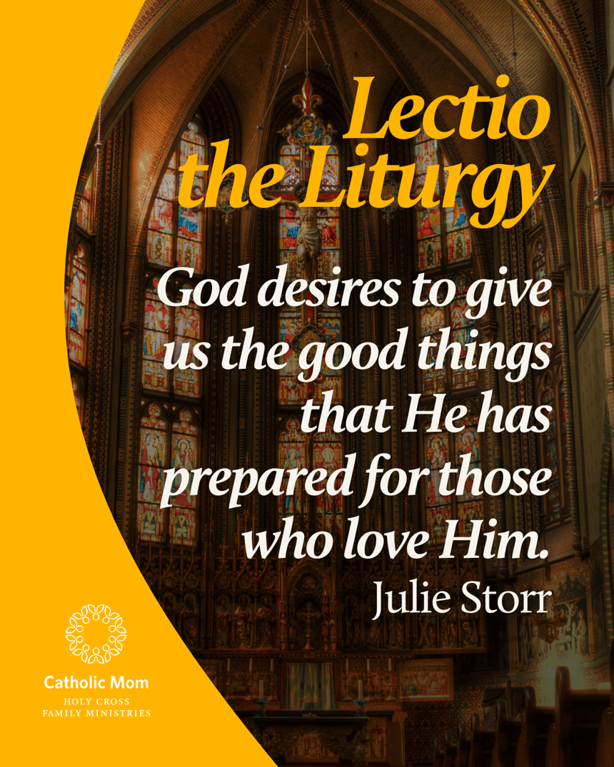 Lectio the Liturgy Sunday August 17, 2025
