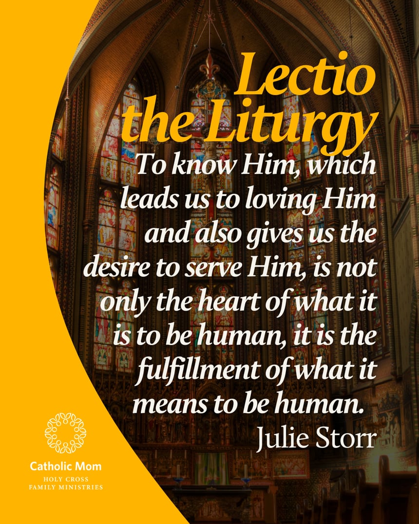 Lectio the Liturgy Sunday January 25,  2026