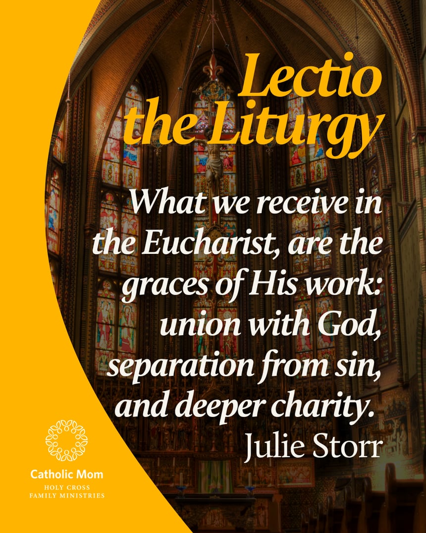 Lectio the Liturgy Sunday July 12, 2026
