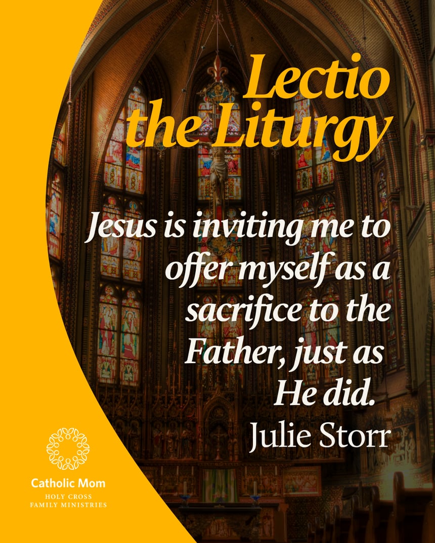 Lectio the Liturgy Sunday July 19, 2026