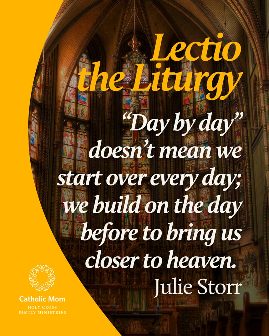 Lectio the Liturgy Sunday July 5,  2026