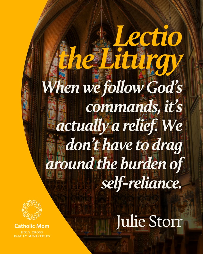 Lectio the Liturgy Sunday June 14, 2026-1