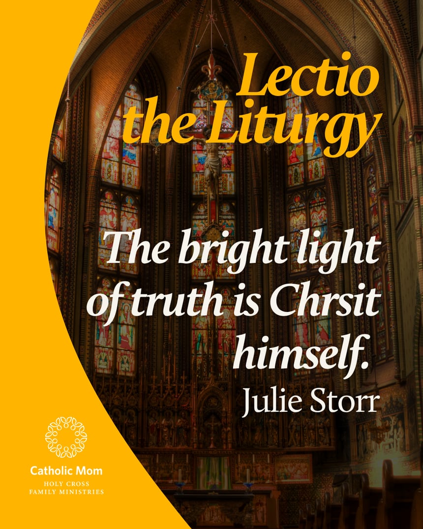 Lectio the Liturgy Sunday June 14,  2026-3