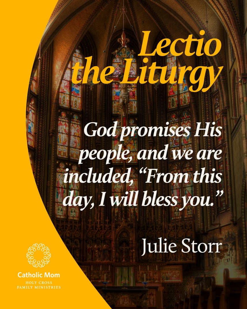 Lectio the Liturgy Sunday June 7, 2026