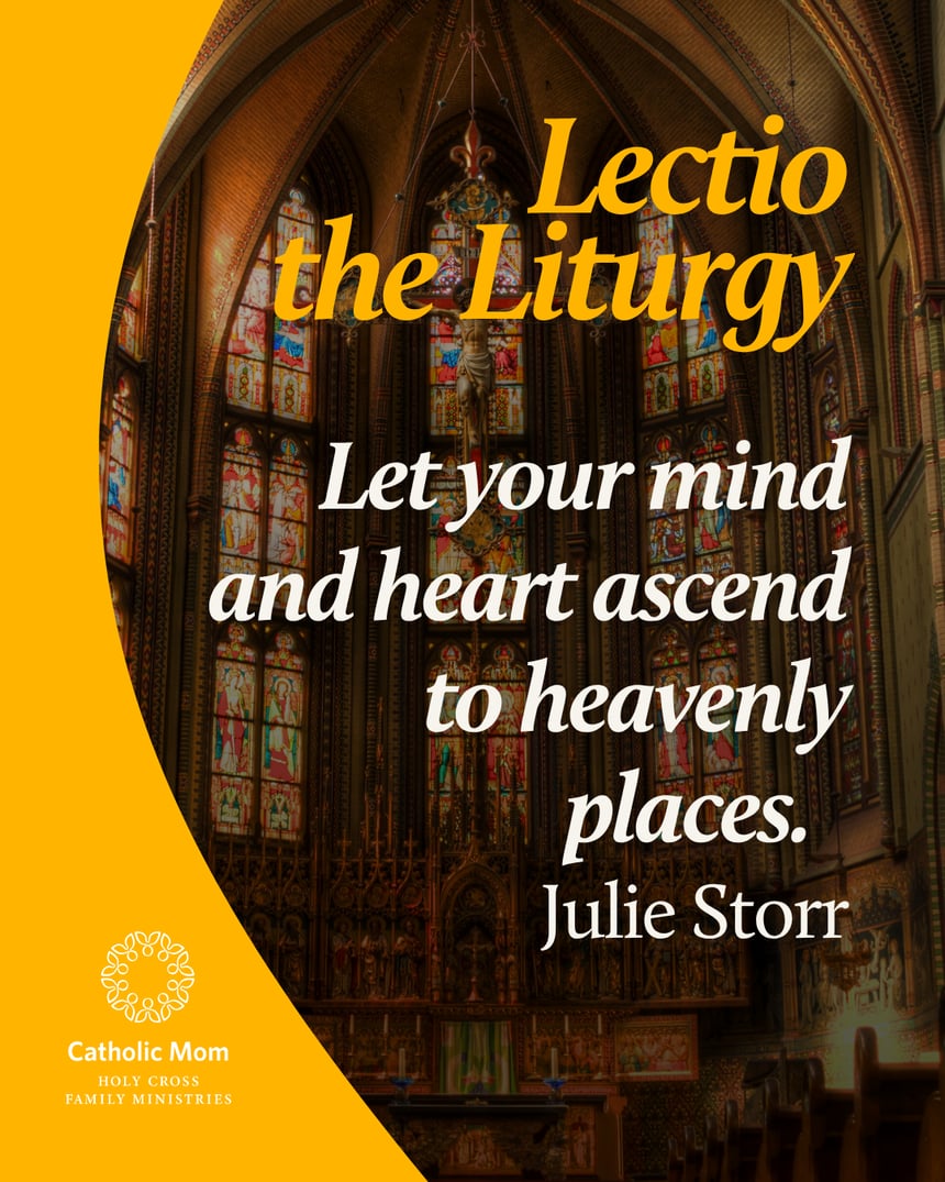 Lectio the Liturgy Sunday May 17,  2026 (1)