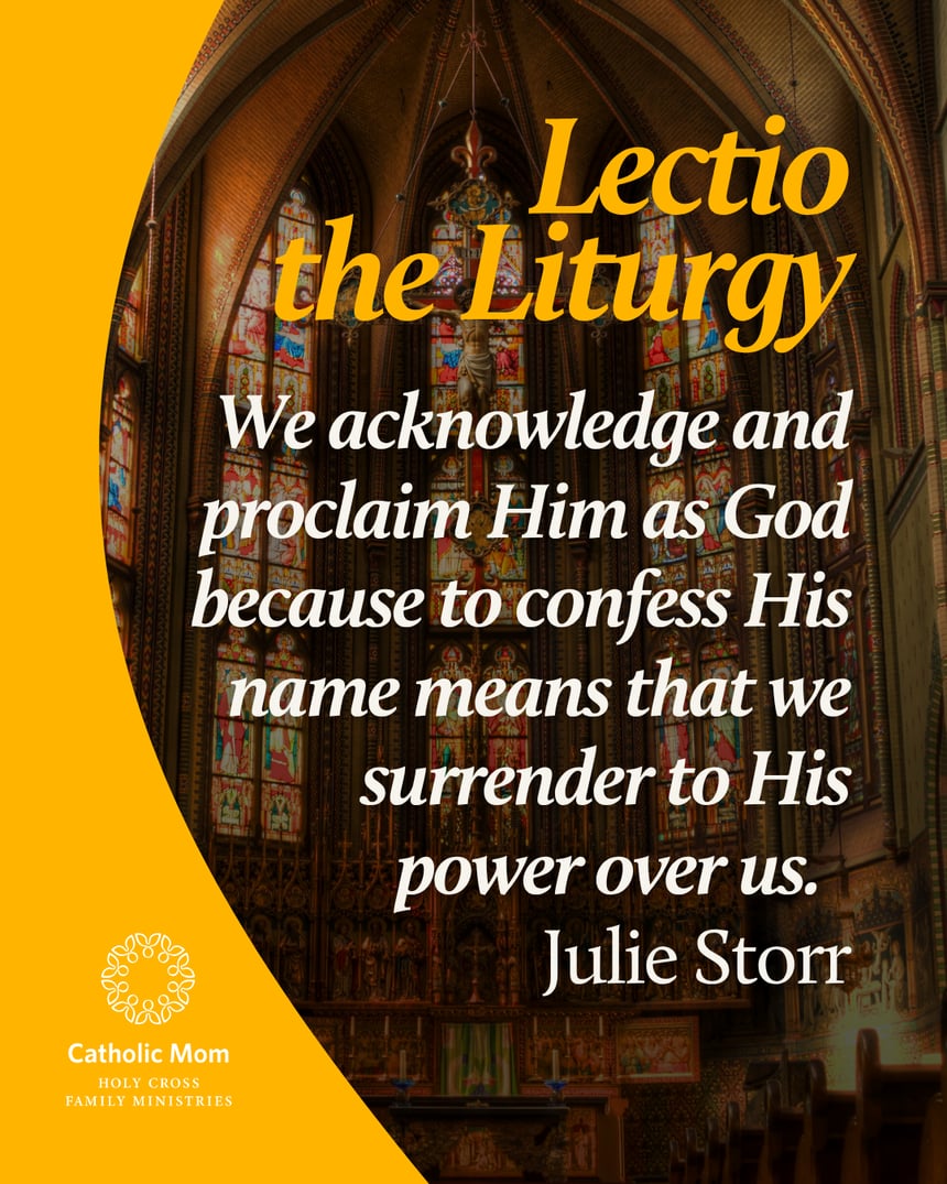 Lectio the Liturgy Sunday May 24, 2026