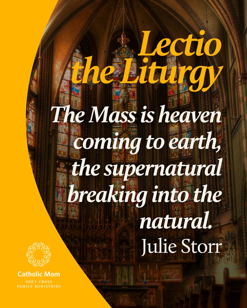 Lectio the Liturgy Sunday May 3,  2026