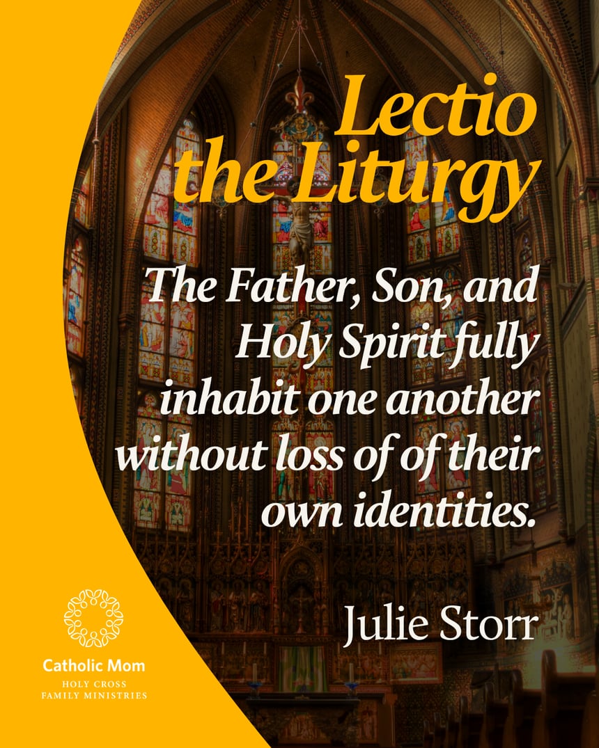 Lectio the Liturgy Sunday May 31,  2026