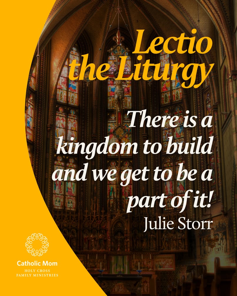 Lectio the Liturgy Sunday November ,  2025