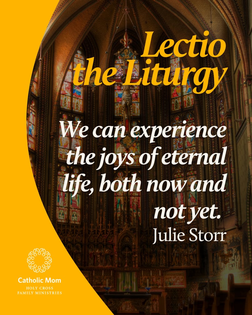 Lectio the Liturgy Sunday November 30,  2025