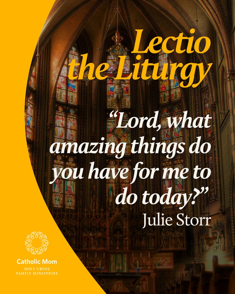 Lectio the Liturgy Sunday October 12,  2025