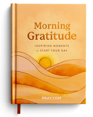 Morning Gratitude