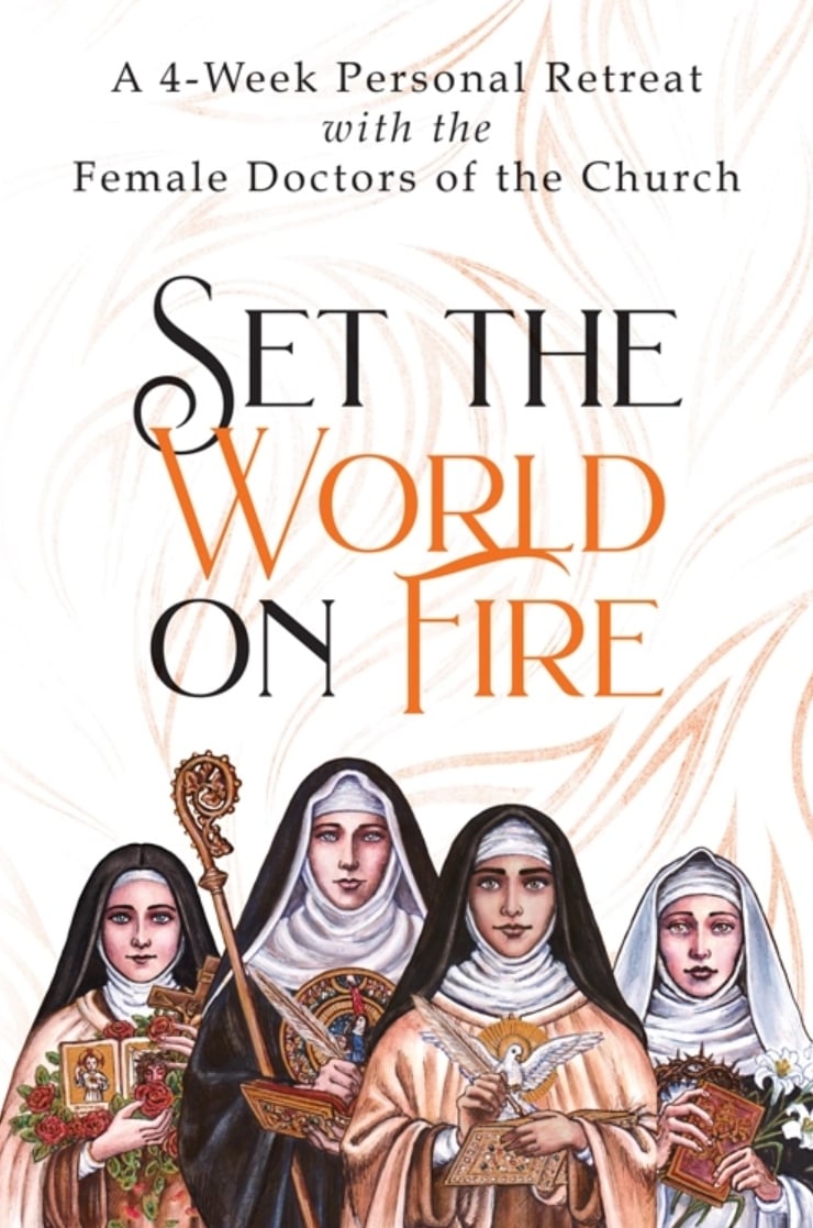 Set the World on Fire book cover