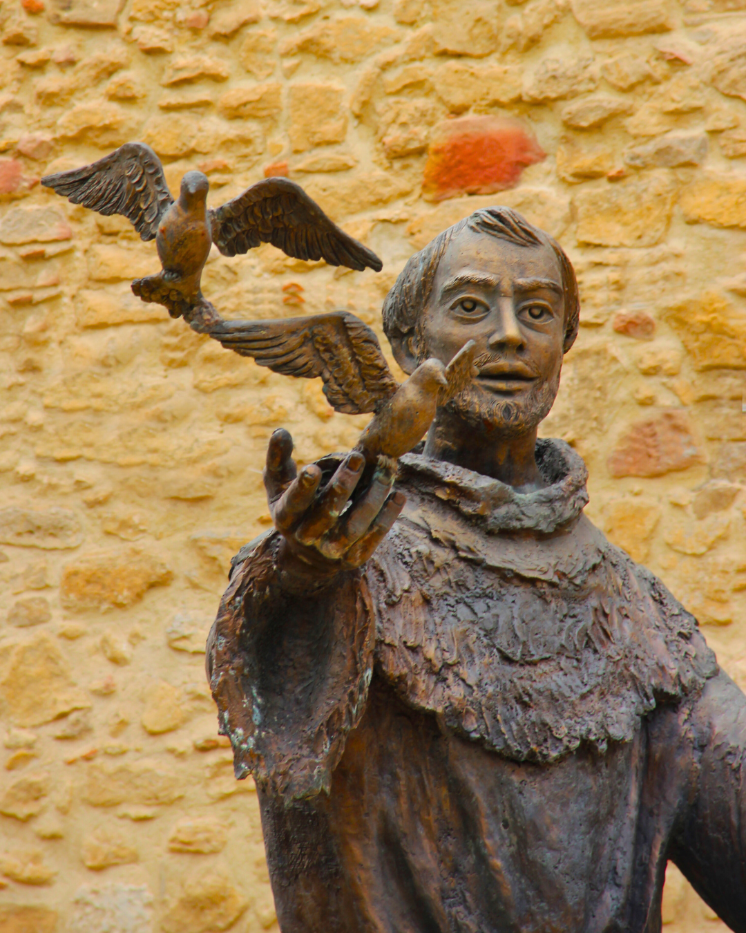 St Francis and birds