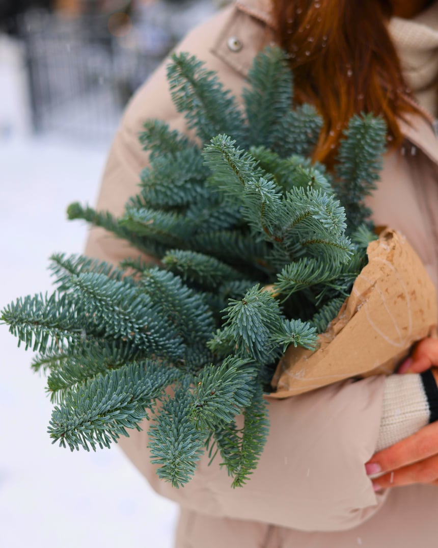 Untitled design (1)-Oct-27-2025-06-12-50-9492-PM