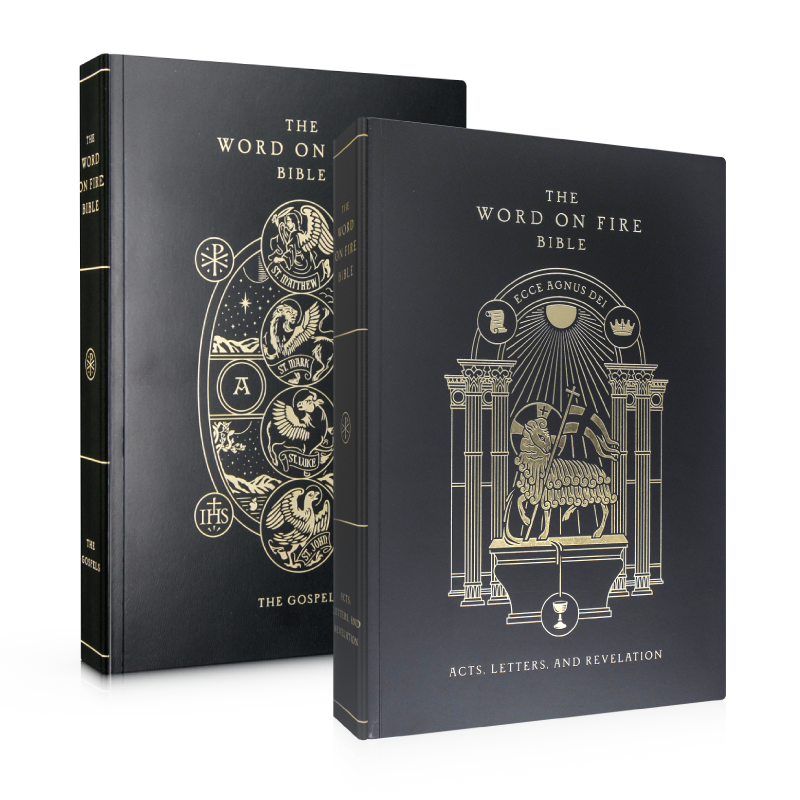 Word On Fire Bible volumes 1 and 2