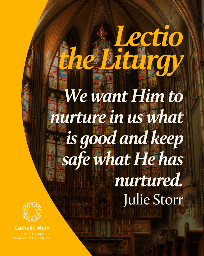 _Lectio the Liturgy Sunday August 31, 2025