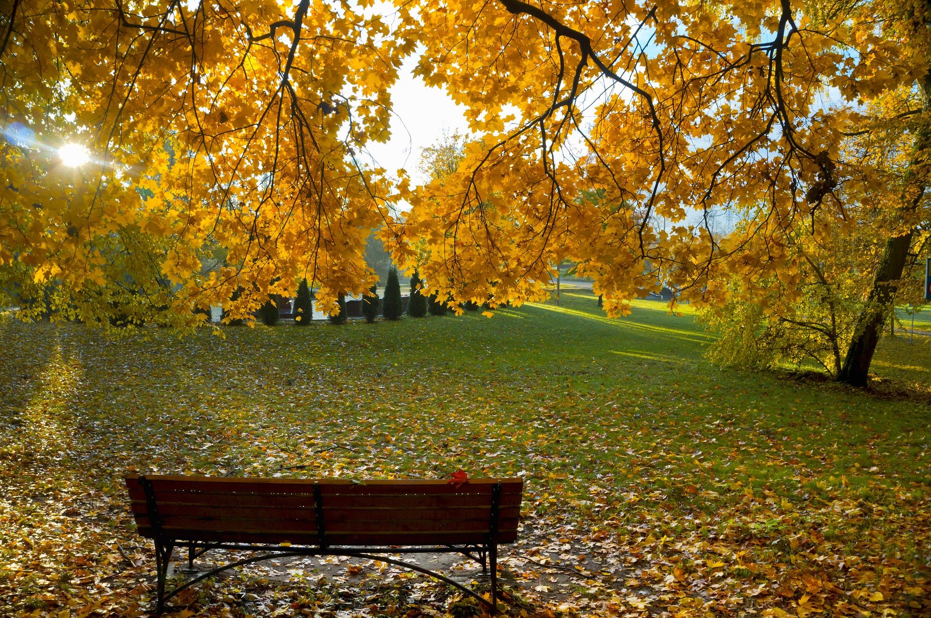 background-2752698_1920