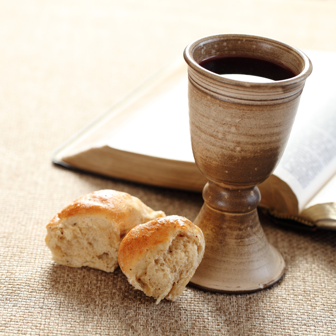 bread and wine 2