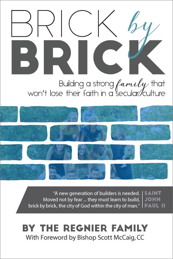 brick by brick by the Regnier family-book cover