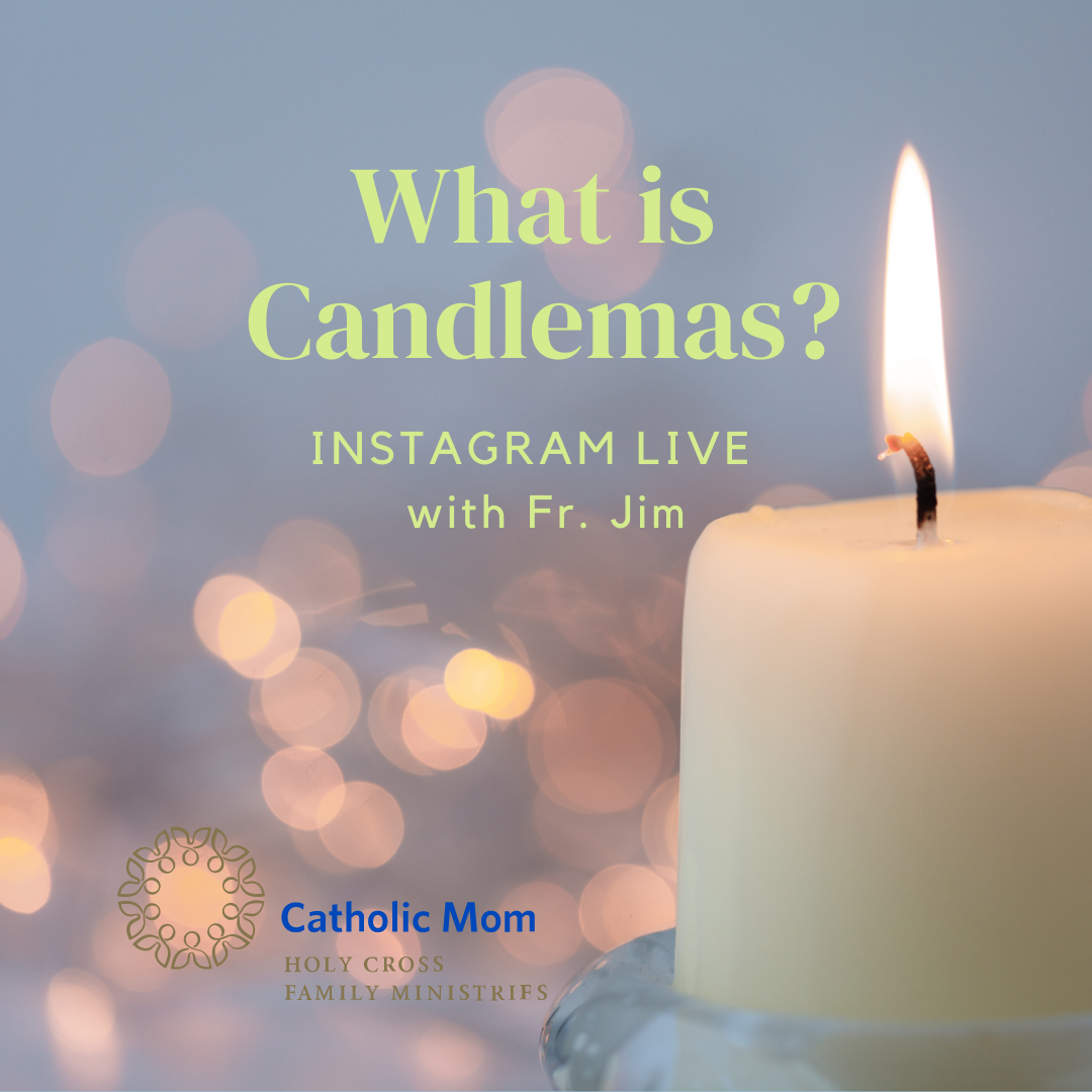 What is Candlemas? Instagram Live with Fr. Jim