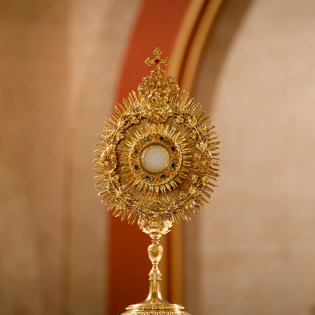 catholic study-musts-sstovall-2