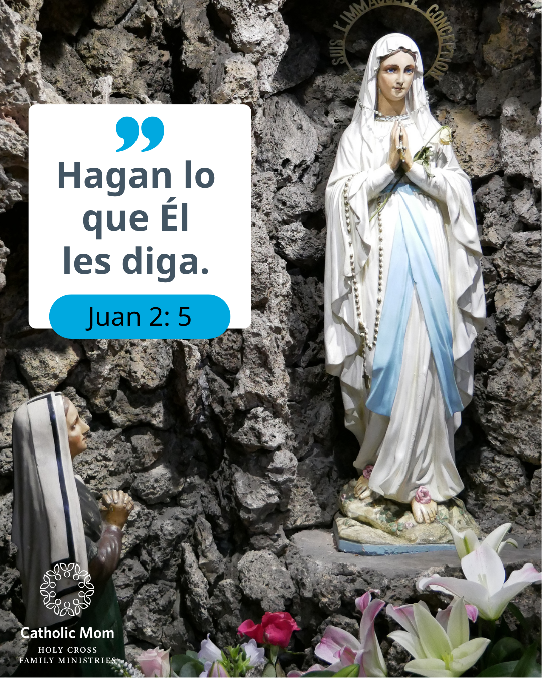 com social 9-8 9.05.55 AM