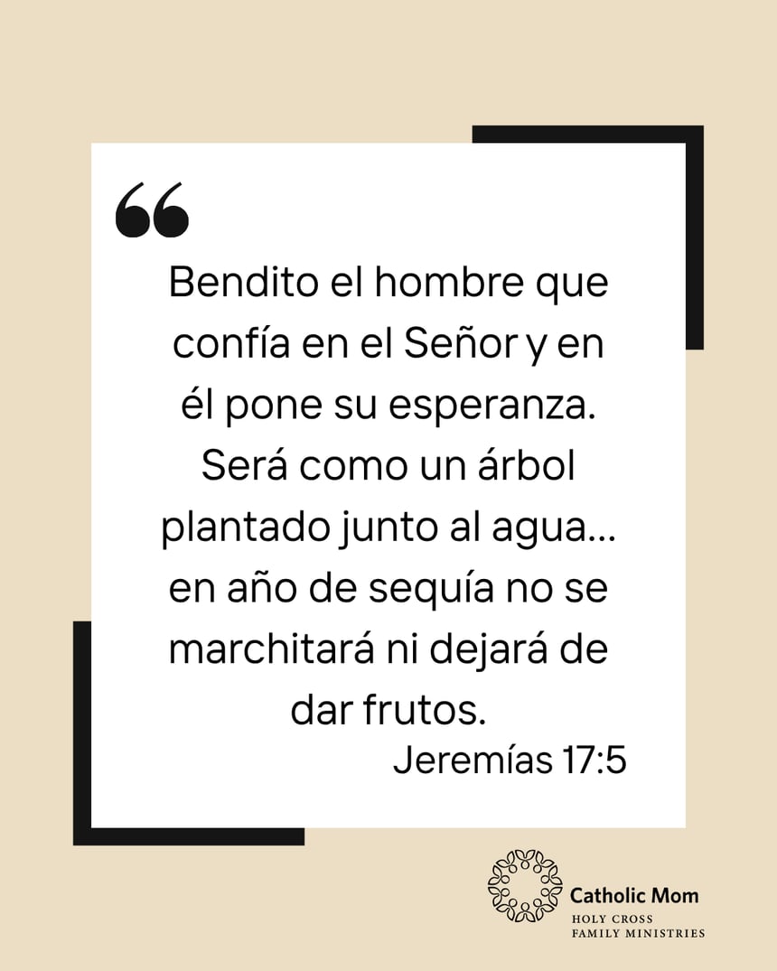 comunidad social 9-1-26-2