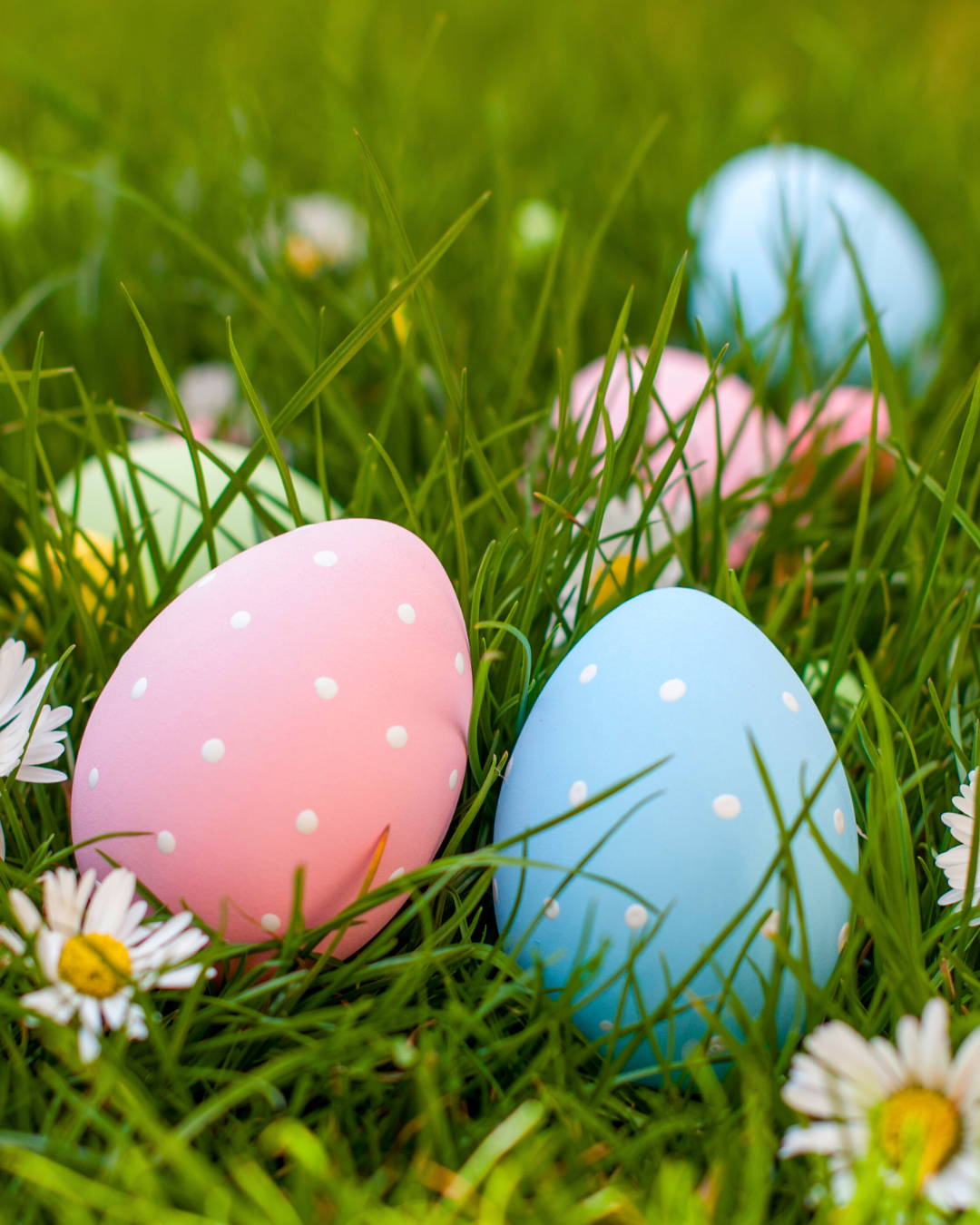 easter eggs social