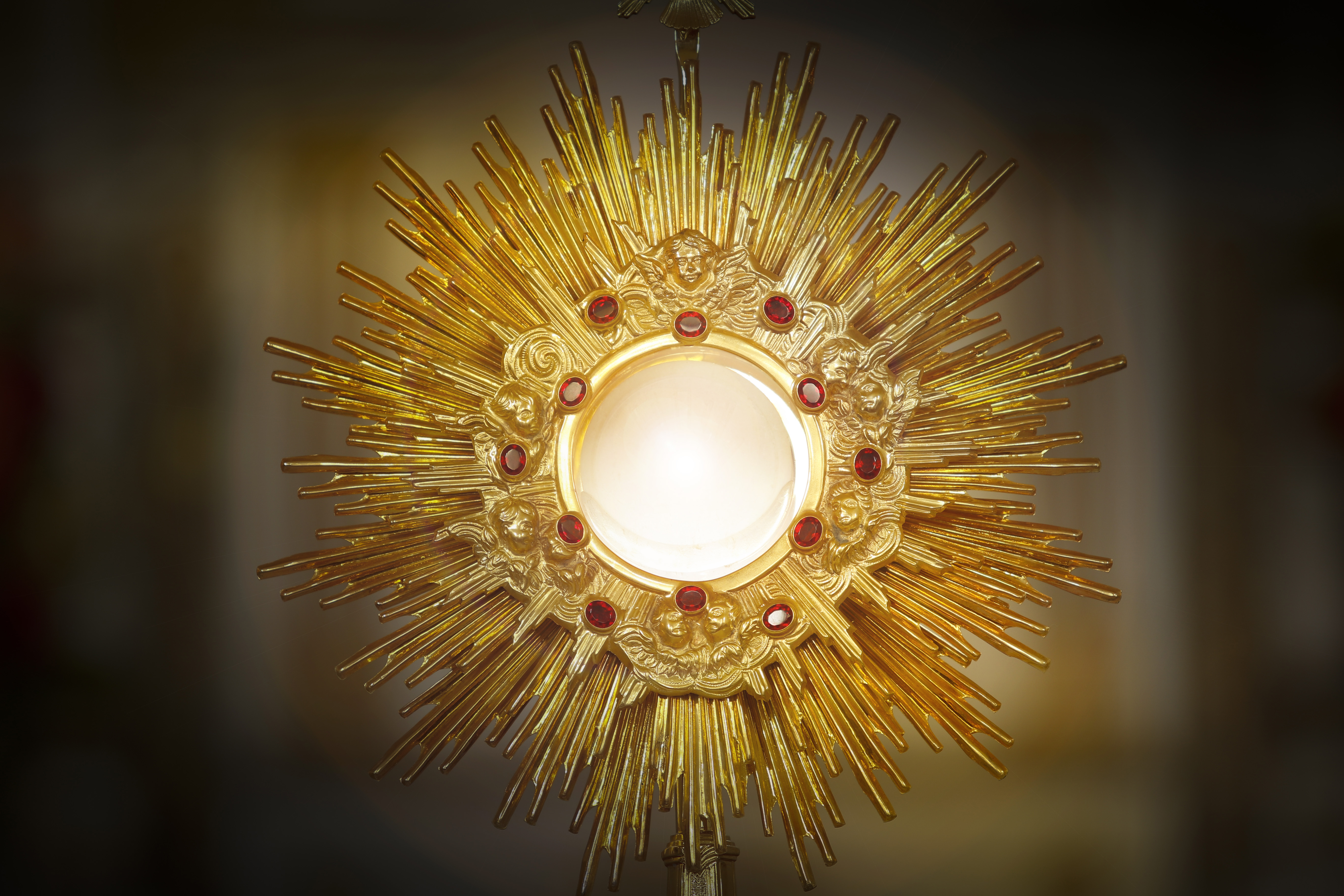 Eccie Corpus Christi