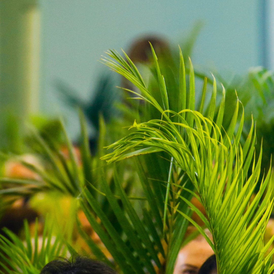 palm sunday social