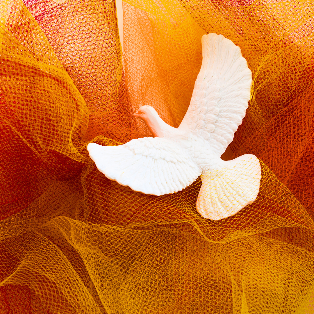 pentecost social