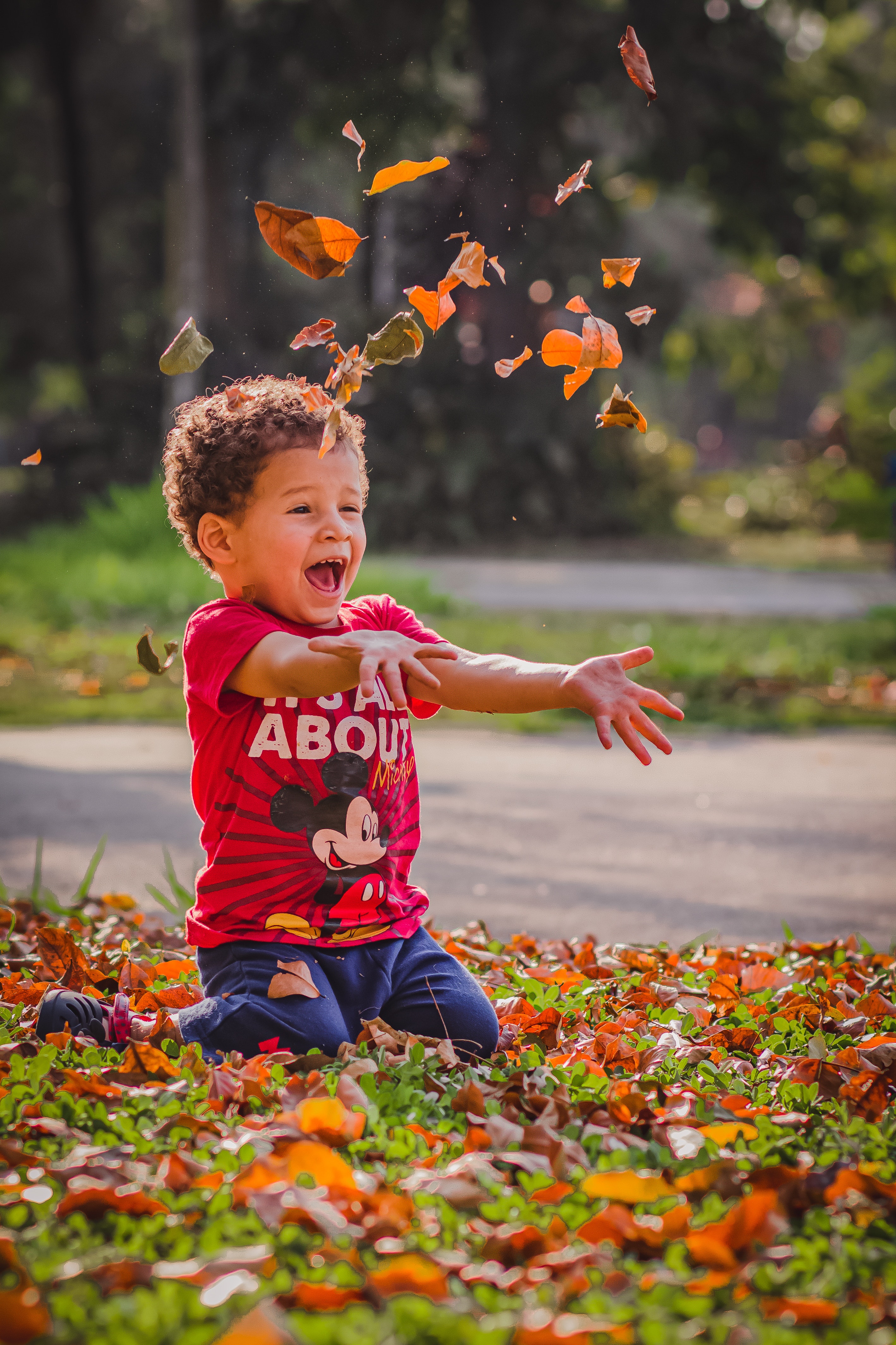 little boy playing in autumn leaves