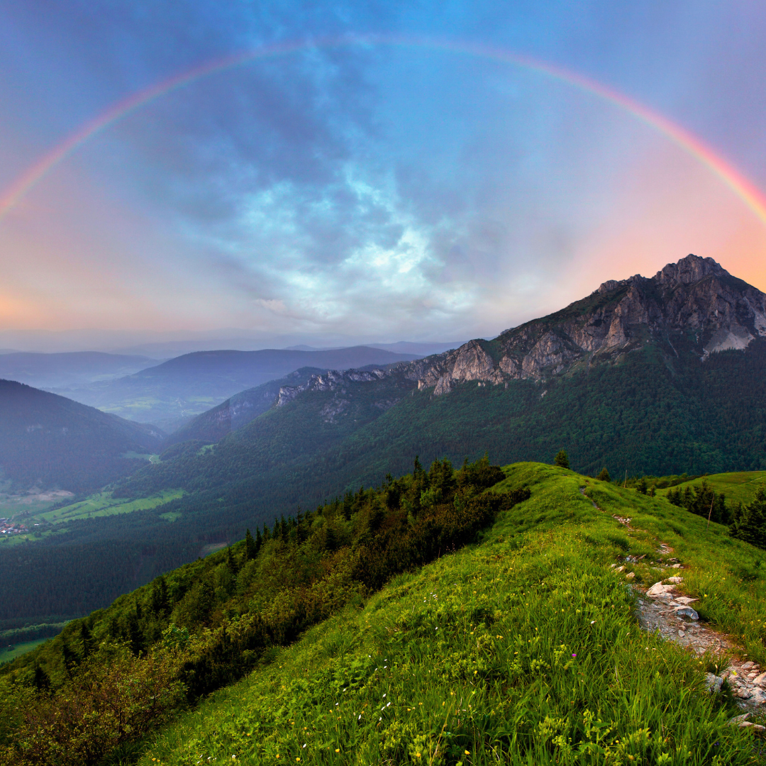 rainbow social