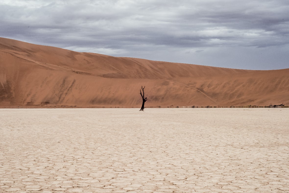 shedding the spirit of scarcity