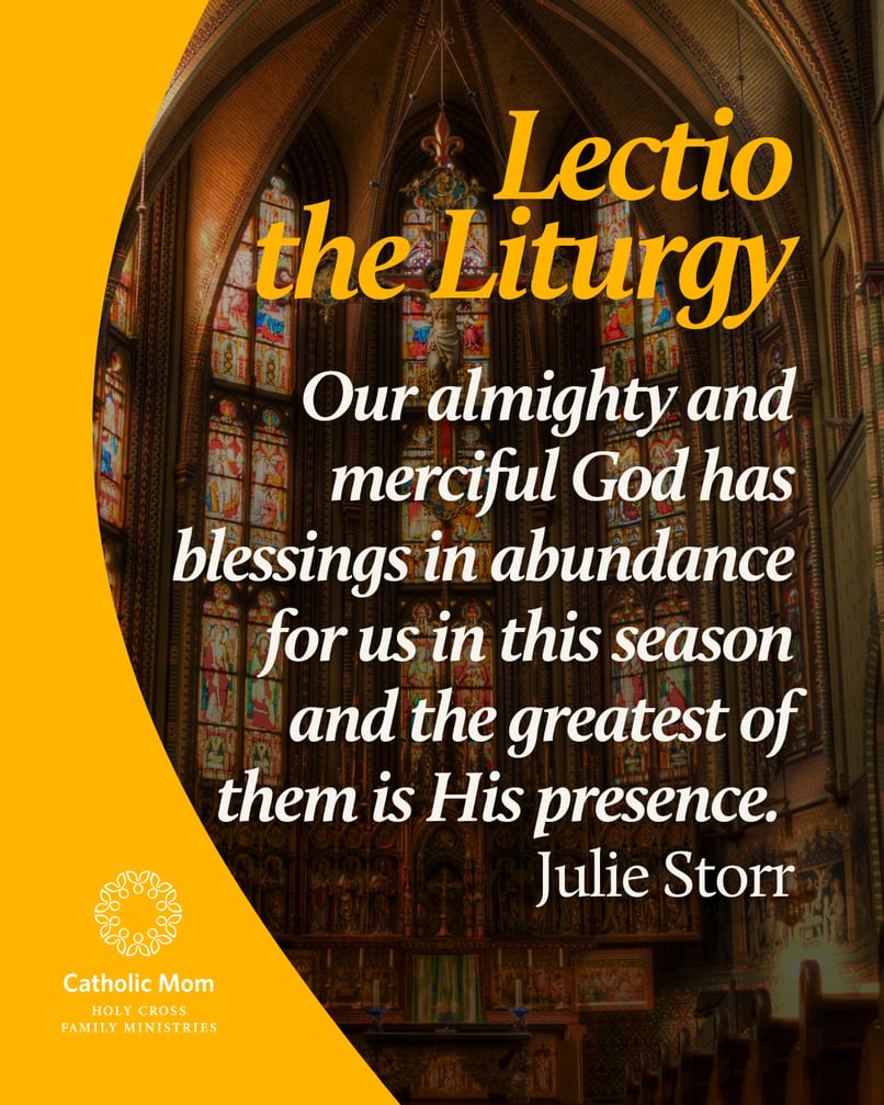 Lectio the Liturgy Sunday December 7, 2025