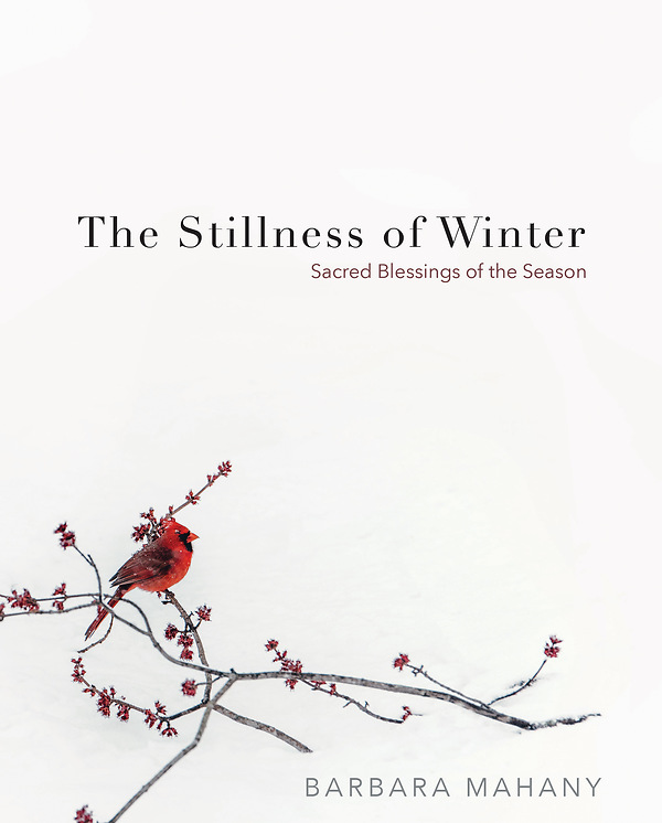 stillness of winter-mahany