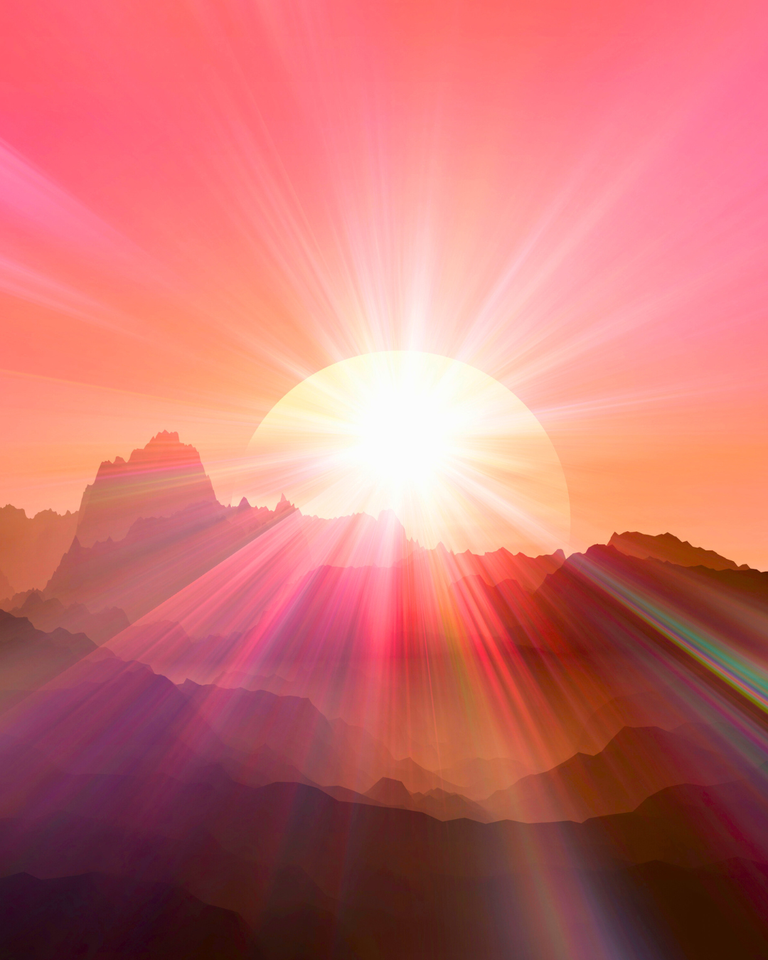 sunrise social