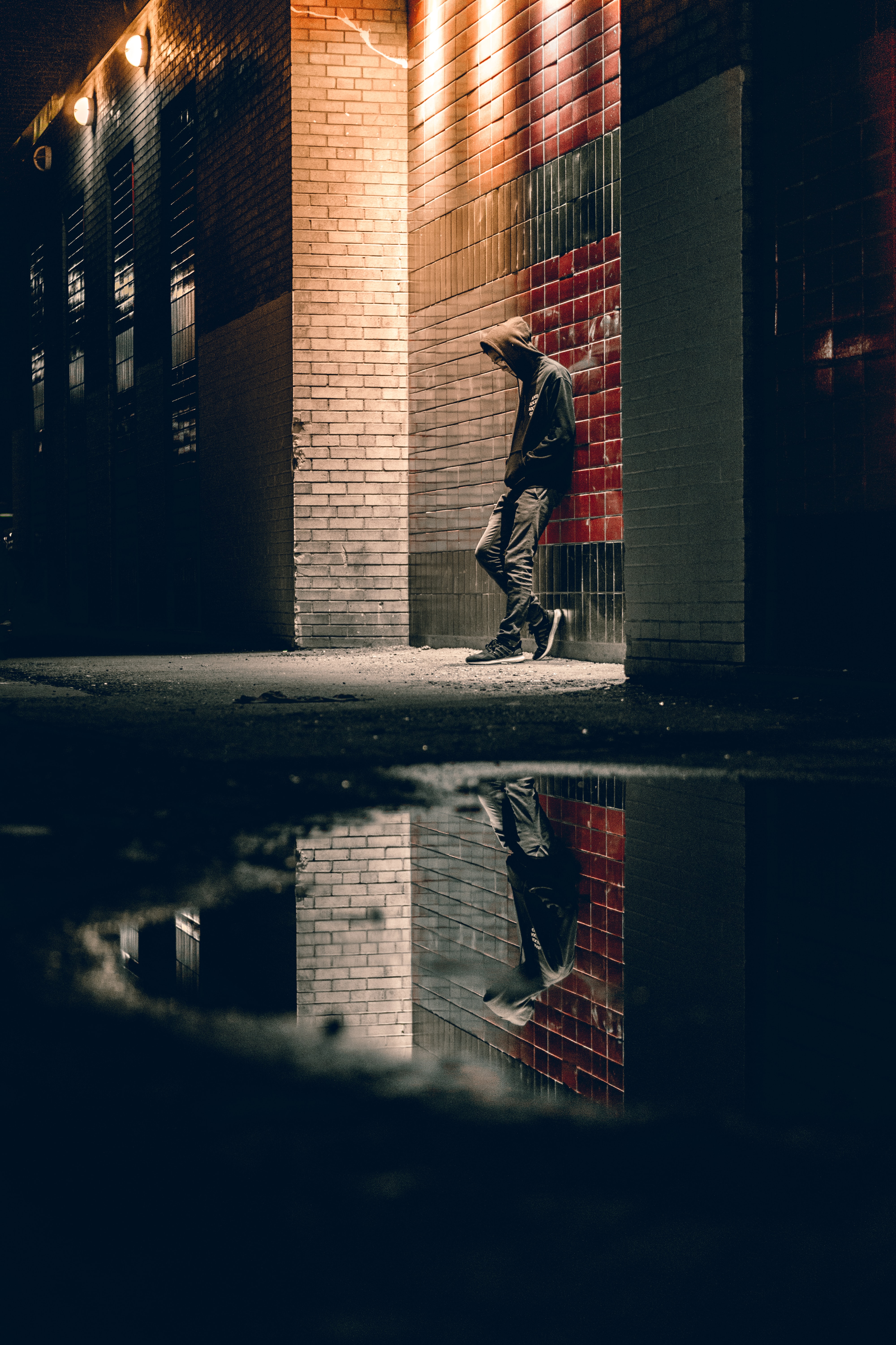 warren-wong-q5QXU-97_i0-unsplash