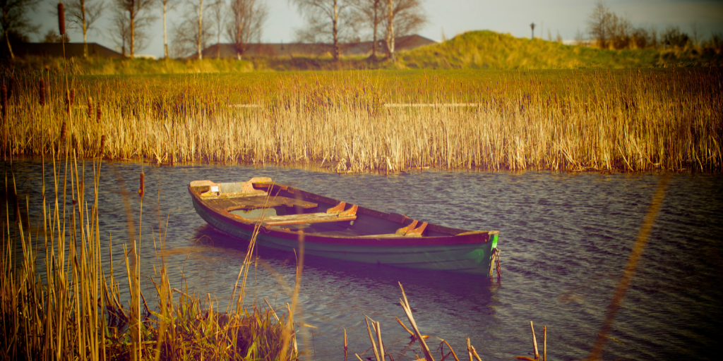 featured image