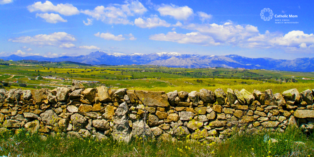 featured image
