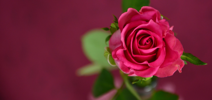 featured image