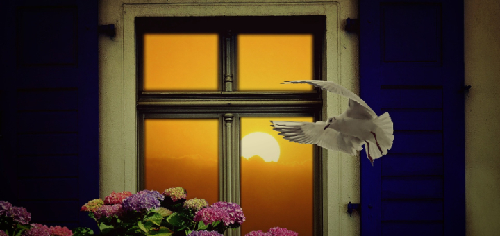 featured image