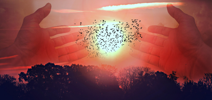 featured image